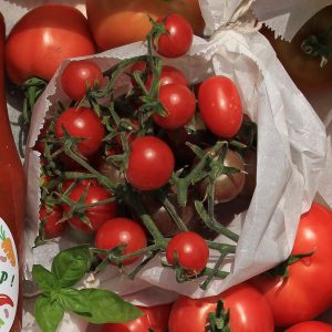 rosii-cherry-caserola