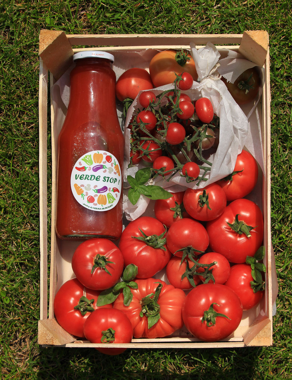 verde-stop-despre-noi-2